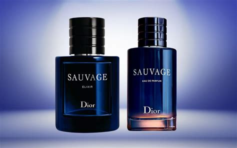 dior homme parfum vs dior sauvage elixir|dior sauvage elixir fragrantica.